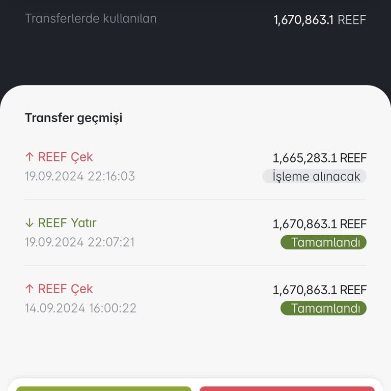 Paribu'da Reef Coin Çekiminde Uzun Süreli Bekleyiş