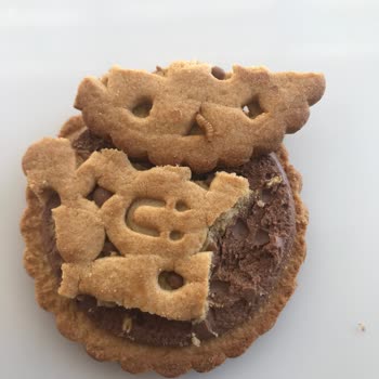 Ülker Probis'te Şok Edici Deneyim