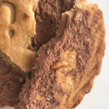 Ülker Probis'te Şok Edici Deneyim