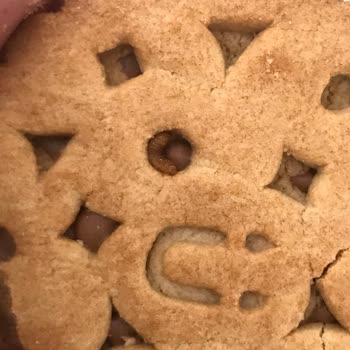 Ülker Probis'te Şok Edici Deneyim