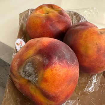 Akasya Makro Center'da Şeftali Kabusu