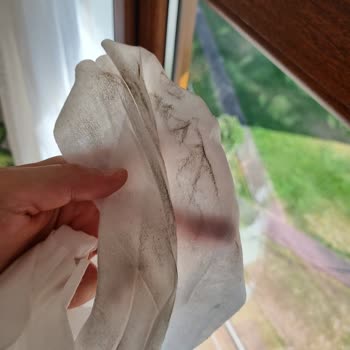 Armut'ta Temizlik Hizmeti Fiyaskosu Ve Güvenlik Endişesi