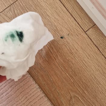 Armut'ta Temizlik Hizmeti Fiyaskosu Ve Güvenlik Endişesi
