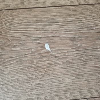 Armut'ta Temizlik Hizmeti Fiyaskosu Ve Güvenlik Endişesi