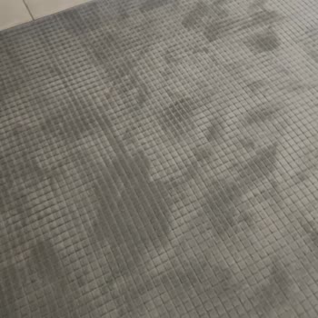 Halıda Yanıltıcı Bilgi Ve Değişim Sorunu