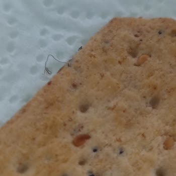 Torku Ürünlerinde İstenmeyen Sürprizler
