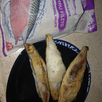 Balık Dünyası Uskumru Fileto: Renk Ve Koku Problemi