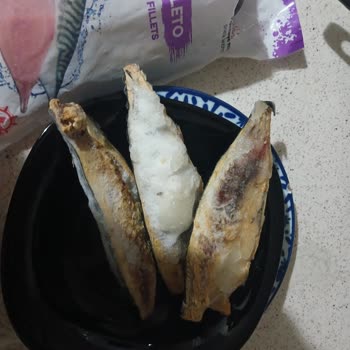 Balık Dünyası Uskumru Fileto: Renk Ve Koku Problemi