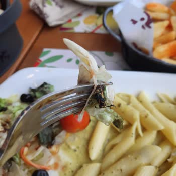 Tavuk Dünyası'nda Şok Eden Arı Skandalı