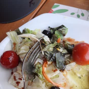 Tavuk Dünyası'nda Şok Eden Arı Skandalı