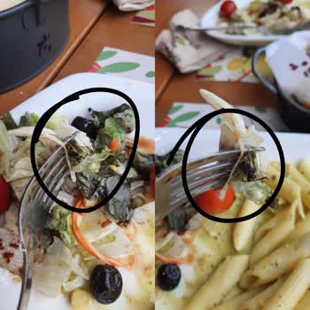 Tavuk Dünyası'nda Şok Eden Arı Skandalı