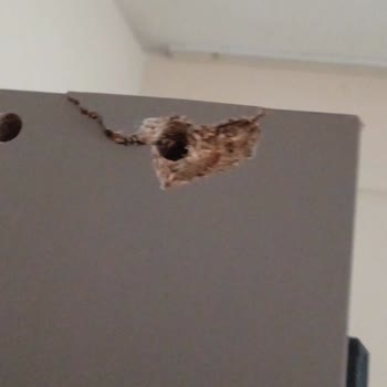 Atölyeden Basit Suntadan Yapılmış Baza!