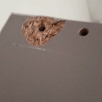 Atölyeden Basit Suntadan Yapılmış Baza!