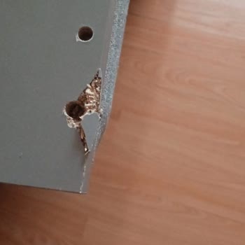 Atölyeden Basit Suntadan Yapılmış Baza!