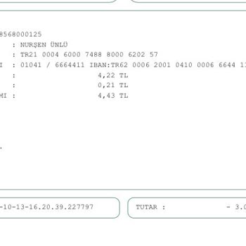 Araç Kiralama Sürecinde Yaşanan Güven Sorunu