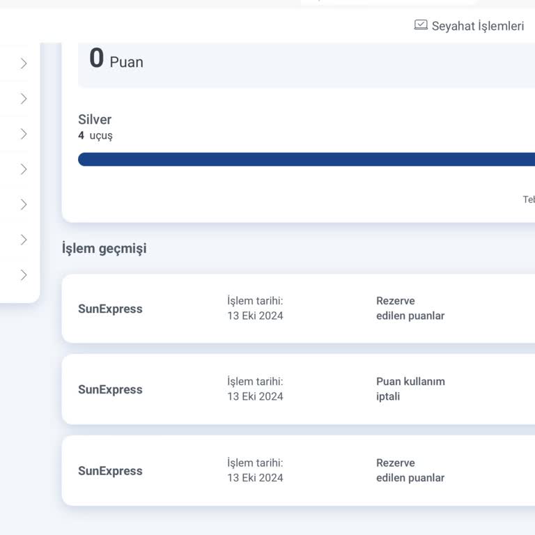 Sunexpress Sadakat Programı Sorunları Ve Kayıp Puanlar