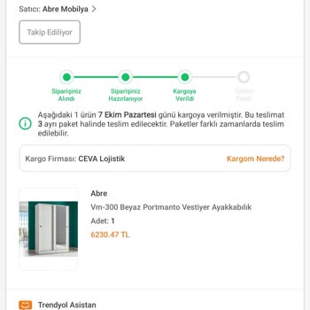 Ceva Kargo İle Taşınmayan Portmanto Mağduriyeti
