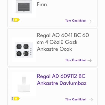 Tehlikeli İhmalkarlık: Regal Ocak Faciası