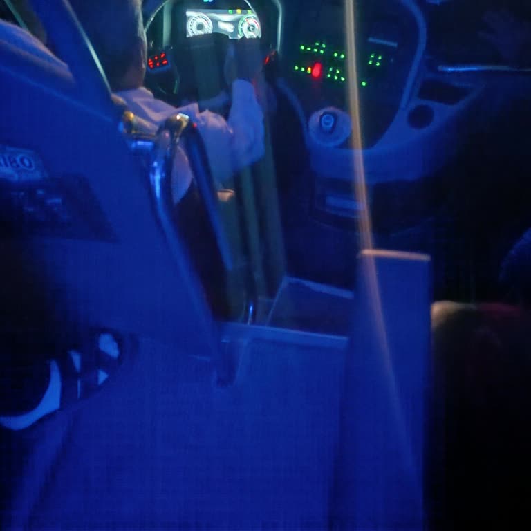 Muavin Davranışı Ve Koltuk Düzeni Sorunu