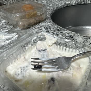 Hijyen Skandalı: Mezede Kanatlı Karasinek Şoku