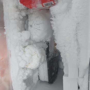 Beko Derin Dondurucuda Bitmeyen Karlanma Sorunu