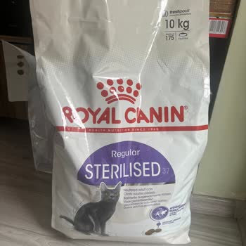 Sahte Mama Satışı: Kedilerimin Sağlığı Tehlikede