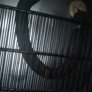 Beko Derin Dondurucu Fabrikasyon Hatası