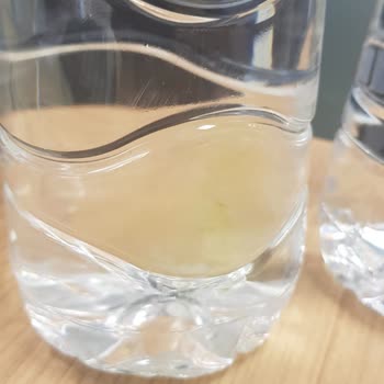 Markalı Su Şişelerinde Beklenmedik Yosun Problemi