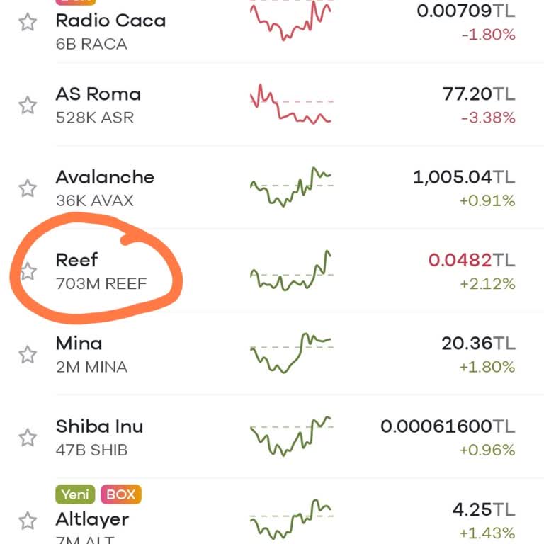 Paribu Borsasında Reef Coin Transfer Sorunu Ve Düşük Fiyatlar