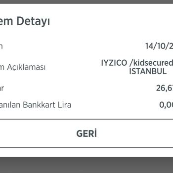 Detectico Hiçbir Şekilde Alınan Ödemeler Karşılığında Hizmet Almadım!