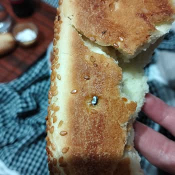 Fırından Aldığım Ekmekte Yabancı Madde Sorunu