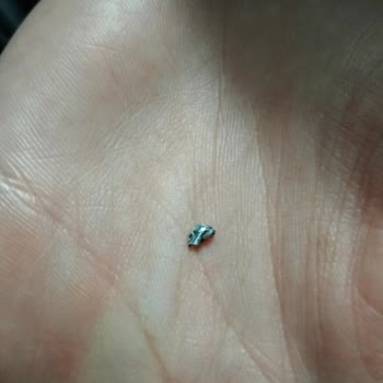 Fırından Aldığım Ekmekte Yabancı Madde Sorunu