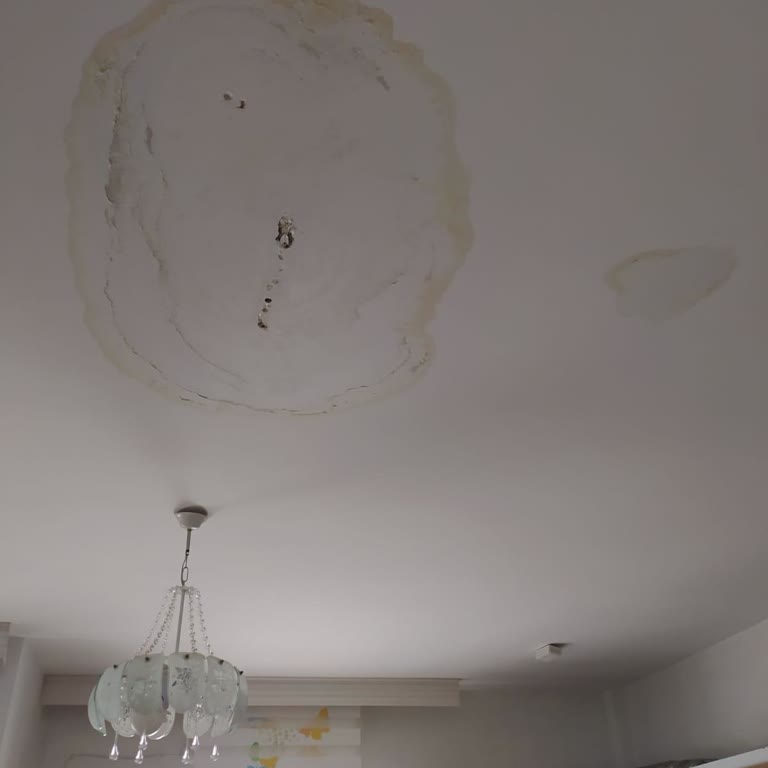 Tesisat Sorunu Çözülmüyor: 1 Aydır Bekliyorum