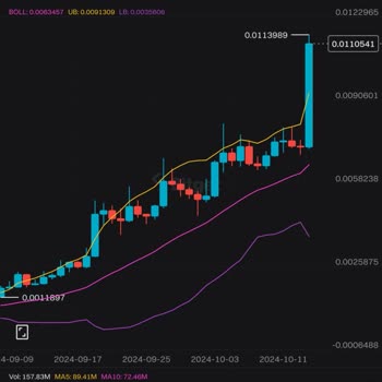 Paribu Platformunda Mağduriyet Ve Güven Sorunu