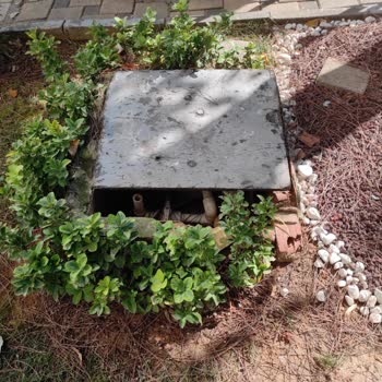 Demirli Yapı Sitesinde Yaşanan Sorunlar