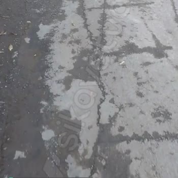 Detectico 1489 Paranın Geri Ödemesini Lütfen Gerçekleştirir Misiniz?