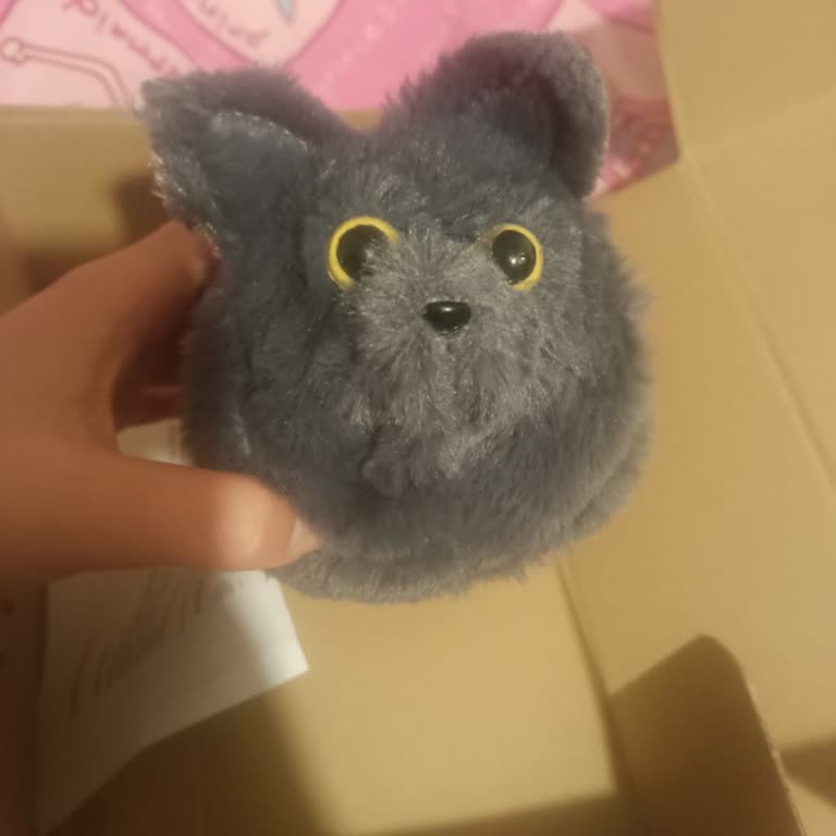 Pati Kitty Yanlış Ürün Ve İletişimsizlik Mağduriyeti