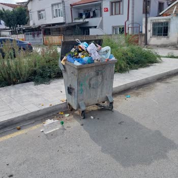 Çöp Konteyneri Eksikliği Sorunu