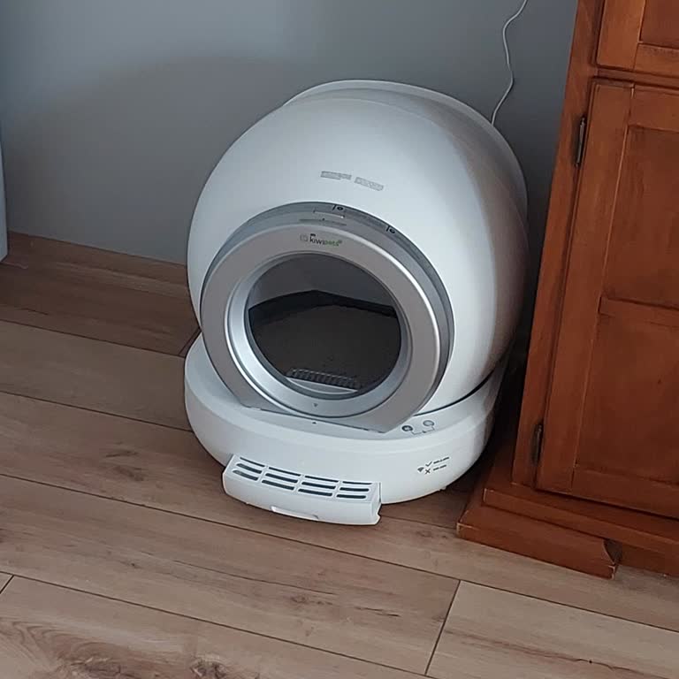 Kiwi Pets Kedi Tuvaleti Kedimi Korkutuyor