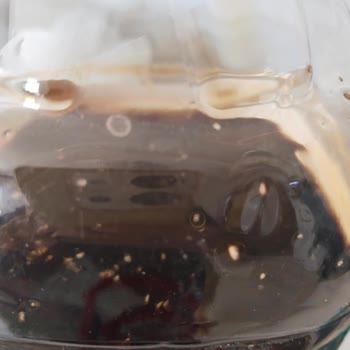 Öncü Nar Ekşisi: Beklenmedik Acı Tat Deneyimi