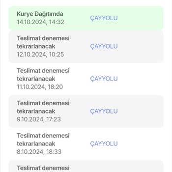 Teslimat Gecikmesi: Kargom Nerede?