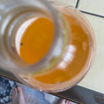 Нашел насекомое в бутылке Фанты – неприятный опыт