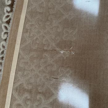 Özlem Halı Yıkama (Sancaktepe) Halıda Kesikler Var!