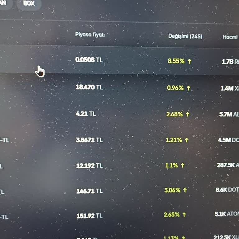 Reef Coin'de Zarar Ve Transfer Sorunları