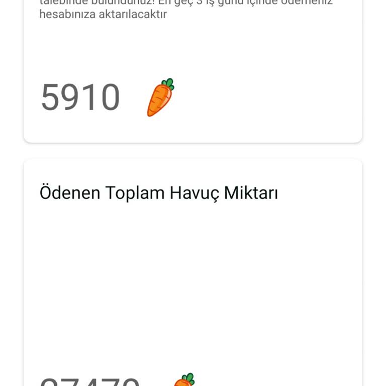 Havucum Uygulamasında Para Yatırma Sorunu