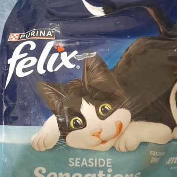 Kedi Mamalarında Kalite Düşüşü Ve Tüketim Sorunları