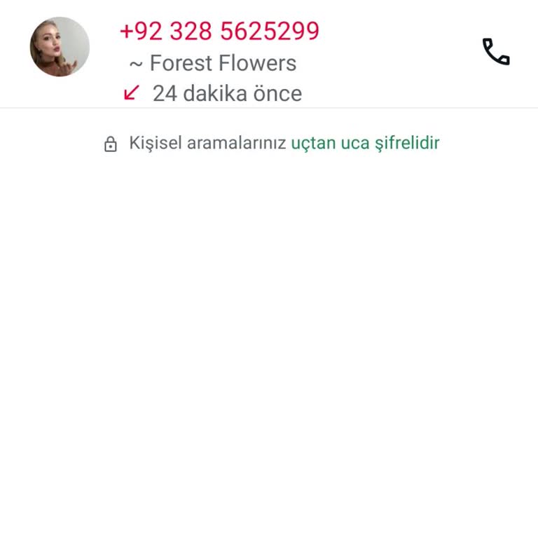 WhatsApp Üzerinden Gelen Şüpheli Mesaj Ve Gizlilik İhlali Endişesi