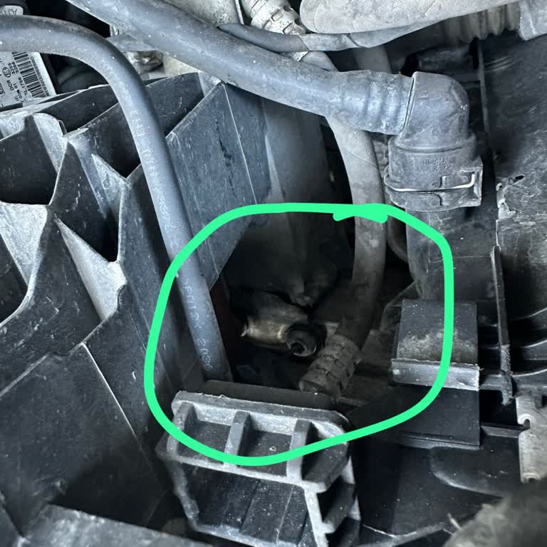 Ekspertiz Hatası Ve Müşteri Hizmetleri Sorunu