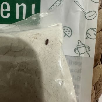 Bebekler İçin Güvenilir Ürünlerde Böcek Şoku