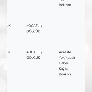 PTT Kargo'nun Yanıltıcı Teslimat İddiaları Ve Müşteri Hizmetleri Sorunu